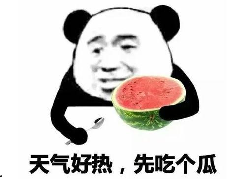 吃瓜表情啥意思