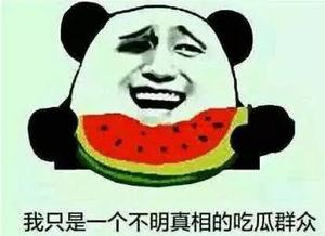 娱乐吃瓜名字怎么取,揭秘明星幕后故事